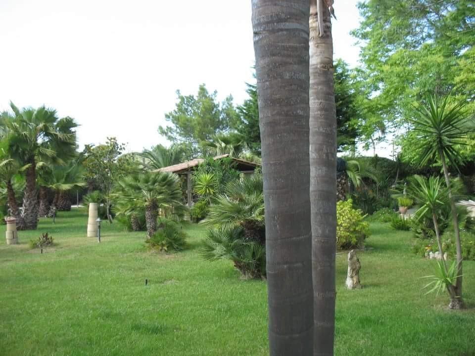Villa Cecilia Matino Exteriér fotografie